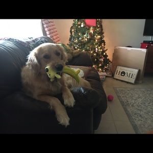 Meet your Posher, Catherine